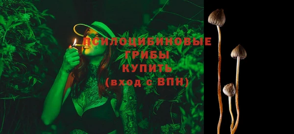 эйфоретик Осинники