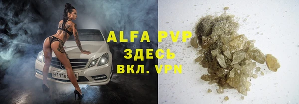 прущие грибы Няндома