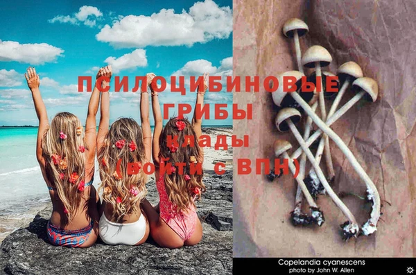 спиды Нягань