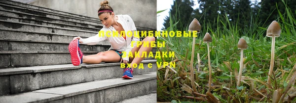 дурь Осташков