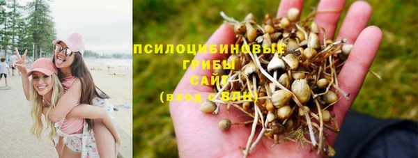 эйфоретик Осинники