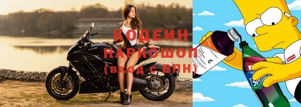 эйфоретик Осинники