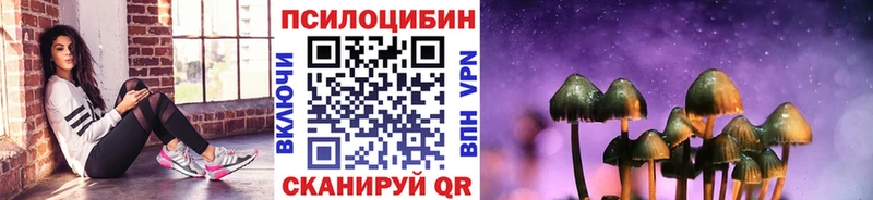 Псилоцибиновые грибы Cubensis  OMG зеркало  Фёдоровский 